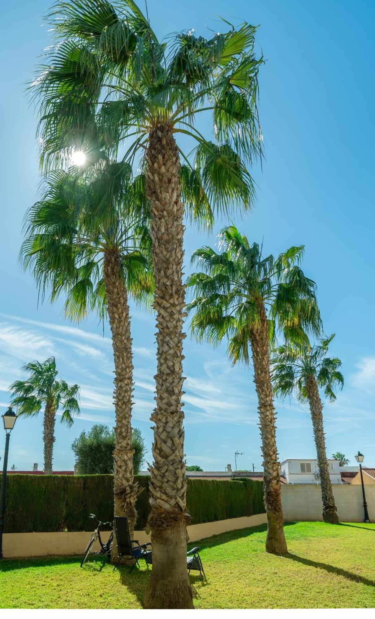 Club Salino Hideaway-Your Peaceful Retreat With Pool In Torrevieja Exterior foto
